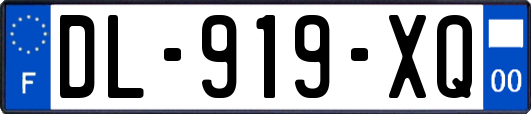 DL-919-XQ