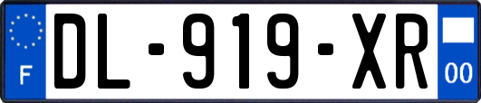 DL-919-XR