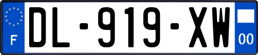 DL-919-XW