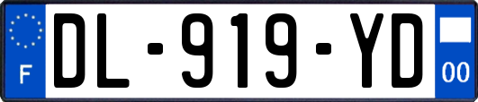 DL-919-YD