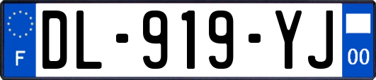 DL-919-YJ