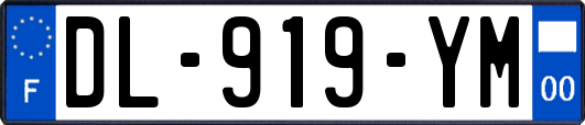 DL-919-YM