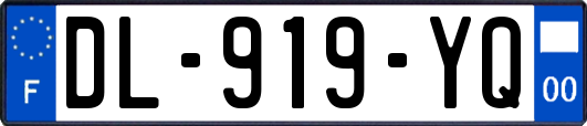 DL-919-YQ