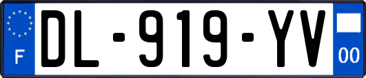 DL-919-YV