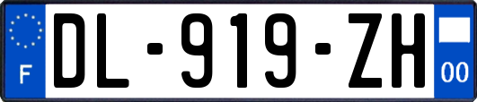 DL-919-ZH