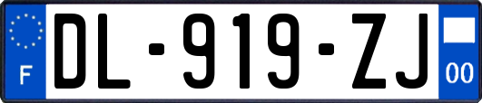 DL-919-ZJ