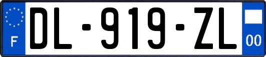 DL-919-ZL