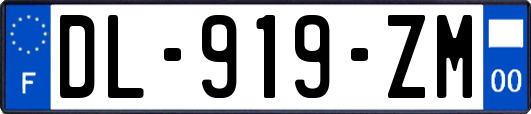 DL-919-ZM