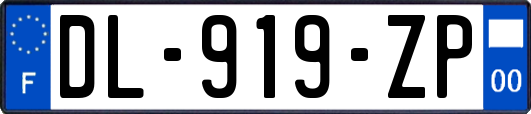 DL-919-ZP