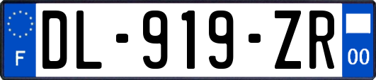 DL-919-ZR