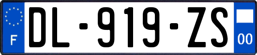 DL-919-ZS