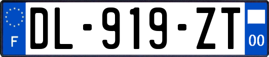 DL-919-ZT