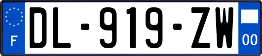 DL-919-ZW