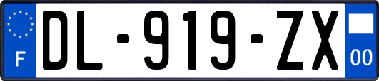 DL-919-ZX