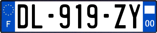 DL-919-ZY