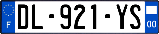 DL-921-YS