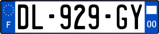 DL-929-GY