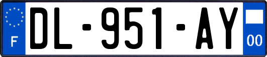 DL-951-AY