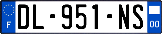 DL-951-NS