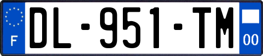 DL-951-TM