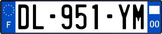 DL-951-YM