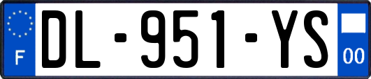 DL-951-YS