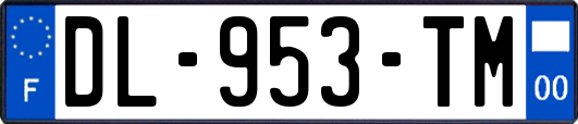 DL-953-TM