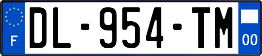 DL-954-TM