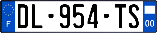 DL-954-TS