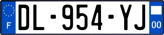 DL-954-YJ