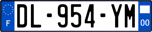 DL-954-YM