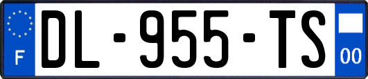 DL-955-TS