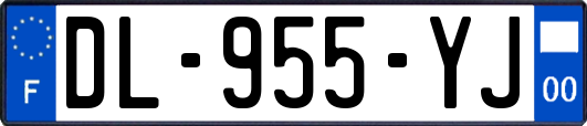 DL-955-YJ