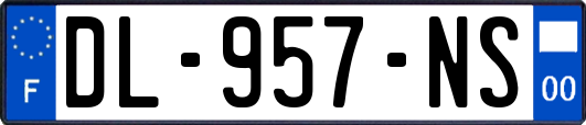 DL-957-NS