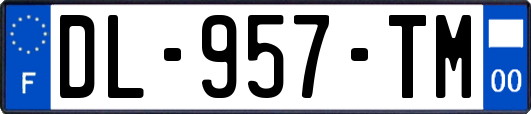 DL-957-TM