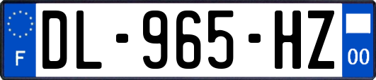 DL-965-HZ