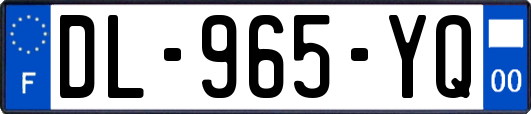 DL-965-YQ