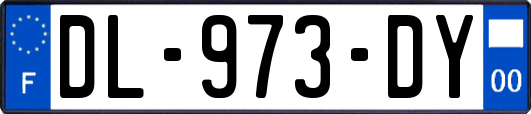 DL-973-DY