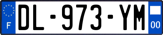 DL-973-YM