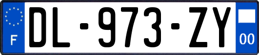 DL-973-ZY