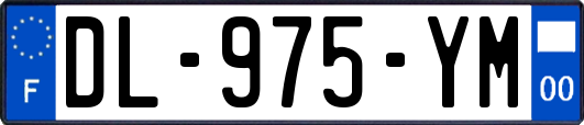 DL-975-YM