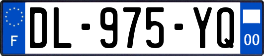 DL-975-YQ