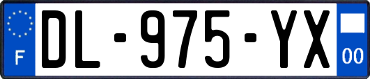 DL-975-YX