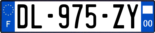 DL-975-ZY