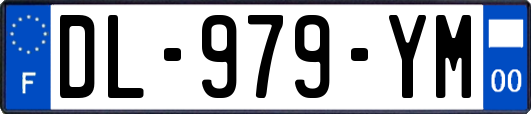 DL-979-YM