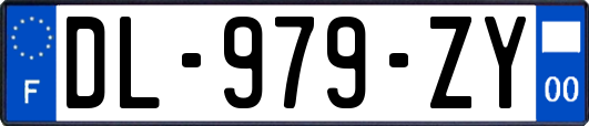 DL-979-ZY