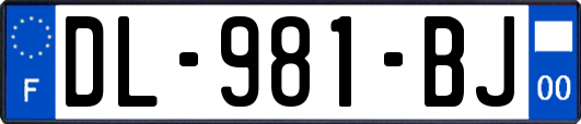 DL-981-BJ