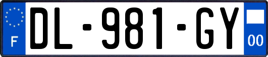 DL-981-GY