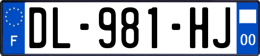 DL-981-HJ