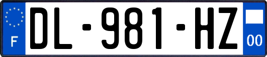 DL-981-HZ